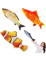 3D Simulation Gold Fish Plush Toys – Soft Carp Pillow
